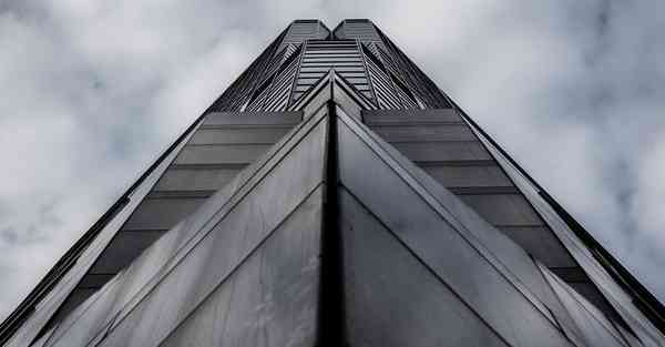 最古老心脏被发现,最古老心脏被发现恐怖片