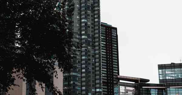 要离就离得干净,要离就离吧